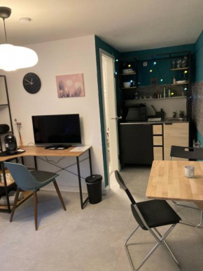 Gemütliches 1 Zimmer Apartment